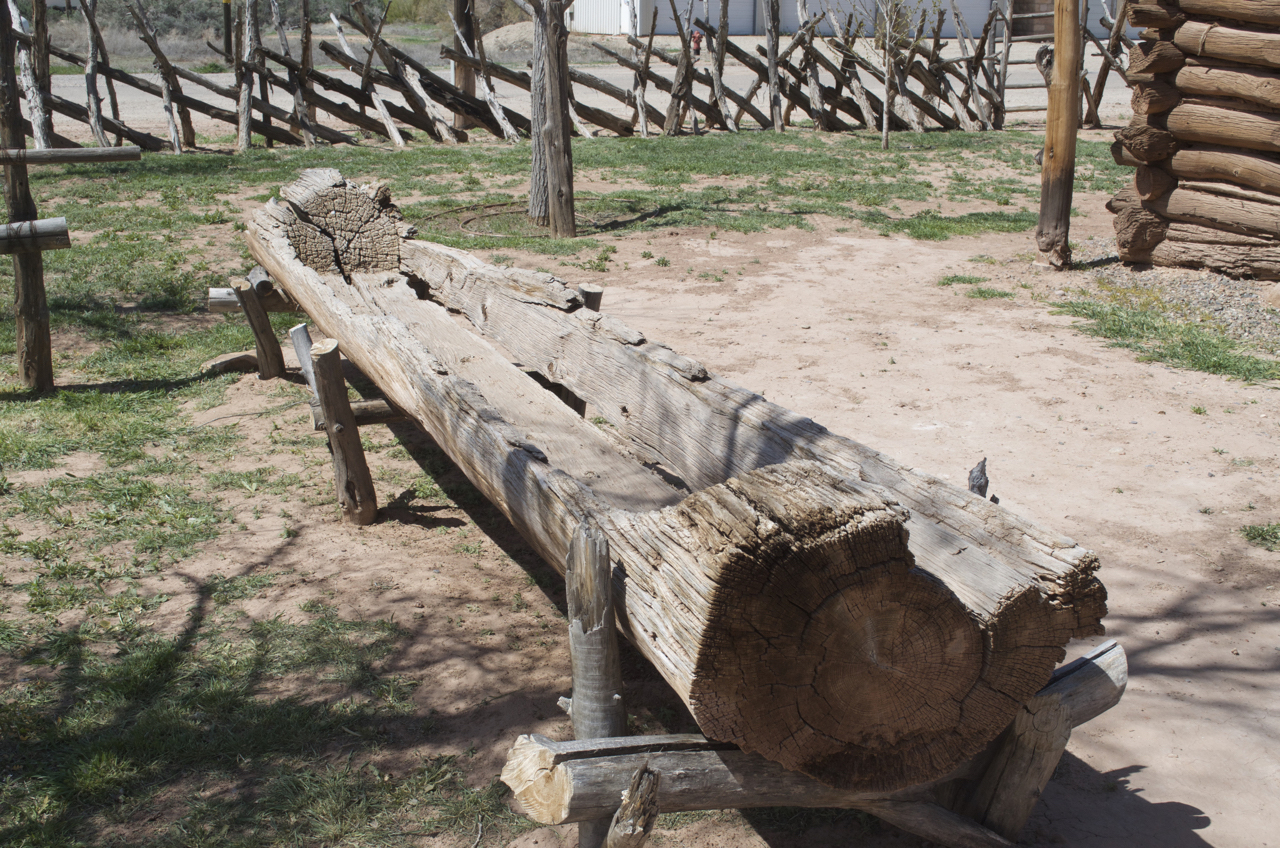 Watering trough Watering trough